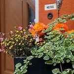 Апартаменты Wuenschendorf *