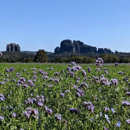 Wuenschendorf Appartement