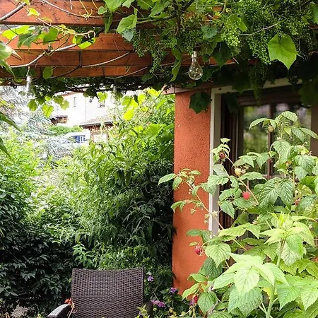 Apartment Wuenschendorf Durrrohrsdorf
