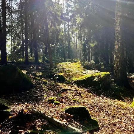 Appartement Wuenschendorf *