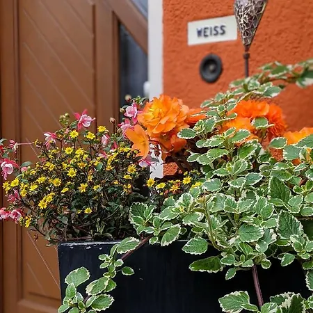 Appartement Wuenschendorf *