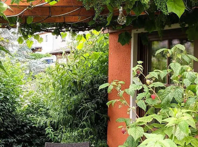 Apartament Wuenschendorf Durrrohrsdorf