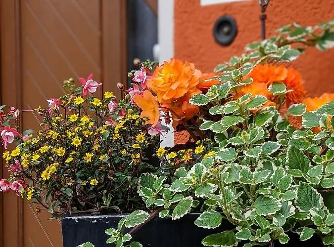 Apartament Wuenschendorf *